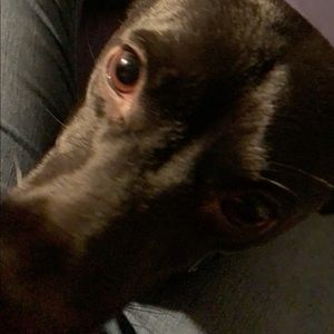 Meet your Posher, Ava